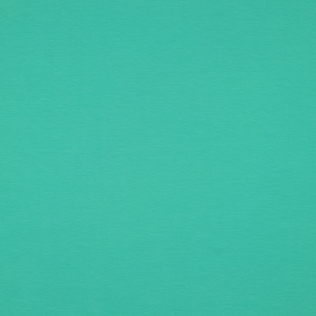 [PRE-VHT-08058.076 TURQUOISE - TÜRKIS] ⏳ Bord-côte uni GOTS & Oeko-Tex | Turquoise